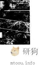 雷场上的相思树（1987 PDF版）