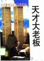 天才大老板（1995 PDF版）