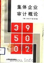 集体企业审计概论（1992 PDF版）
