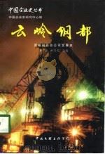 云岭钢都 昆明钢铁总公司发展史 1958-1997 1998 PDF电子版封面 7505929585 李焱,叶发芳主编