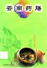 云南药膳（1998 PDF版）