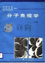 分子免疫学（下册）（1988年08月第1版 PDF版）