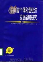 四川省个体私营经济发展战略研究（1998 PDF版）