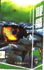 眼睛（1988 PDF版）