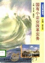 国有小企业改革实务（1996 PDF版）