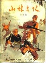 山林支队  下（1977 PDF版）