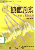 诚信为本  审计与鉴证实务（1998 PDF版）