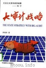 大审计战略   1997  PDF电子版封面  7800644227  罗昭祥著 