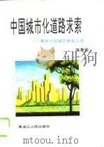 中国城市化道路求索 兼谈中国城市建设之路 1995 PDF电子版封面 7207031440 张秉忱著