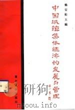 中国城镇集体经济的发展与管理（1991 PDF版）