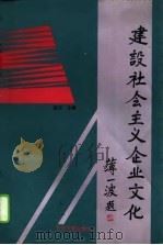 建设社会主义企业文化（1995 PDF版）