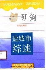 盐城市综述（1990 PDF版）