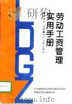 劳动工资管理实用手册（1995 PDF版）