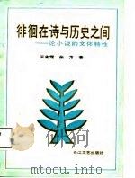 徘徊在诗与历史之间  论小说的文体特性（1987 PDF版）