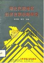 湖北民族地区经济发展战略研究（1992 PDF版）