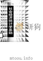 社会经济统计学基础（1991 PDF版）