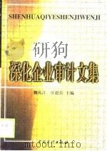 深化企业审计文集（1999 PDF版）