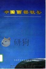 中国西部硅谷（1996 PDF版）