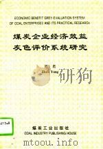 煤炭企业经济效益灰色评价系统研究（1994 PDF版）