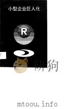 小型企业巨人化探秘（1990 PDF版）