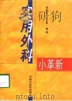实用外科小革新 1998 PDF电子版封面 780089827X 刘加升,王敏编著