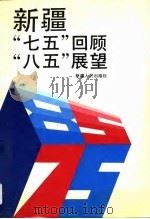 新疆“七五”回顾“八五”展望（1991 PDF版）