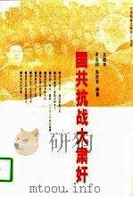 国共抗战大肃奸（1995 PDF版）