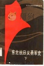 东北抗日义勇军史 1987 PDF电子版封面 温永录主编