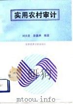 农用农村审计（1991 PDF版）