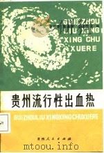 贵州流行性出血热（1987 PDF版）