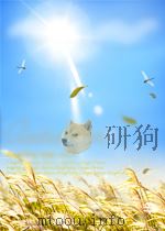 中国现代文学史教程上册（ PDF版）