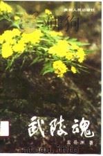 武陵魂（1991 PDF版）