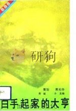 白手起家的大亨（1993 PDF版）
