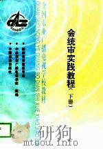 会统审实践教程  下（1999 PDF版）