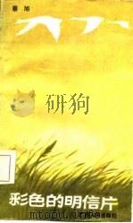彩色的明信片（1987 PDF版）