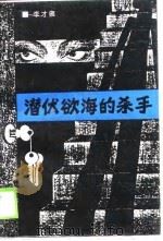 潜伏欲海的杀手（1989 PDF版）