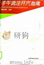 子午流注开穴指南（1994 PDF版）