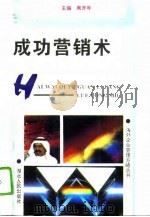 成功营销术（1994 PDF版）