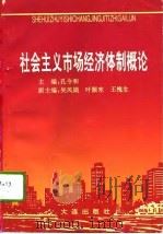 社会主义市场经济体制概论（1994 PDF版）