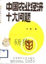 中国农业经济十大问题（1992 PDF版）