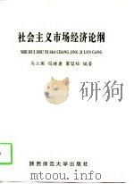 社会主义市场经济论纲（1997 PDF版）