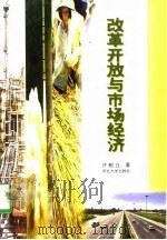 改革开放与市场经济（1998 PDF版）