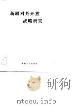 新疆对外开放战略研究（1989 PDF版）