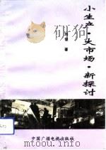小生产、大市场、新探讨（1993 PDF版）