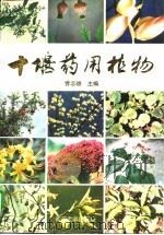 十堰药用植物（1996 PDF版）