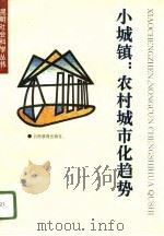 小城镇：农村城市化趋势（1996 PDF版）