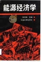 能源经济学（1991 PDF版）