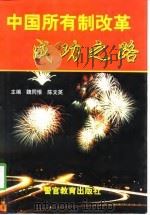 中国所有制改革成功之路（1998 PDF版）