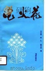电火花（1990 PDF版）