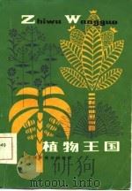 植物王国 1986 PDF电子版封面 13212·87 汪劲武,陈志祺编